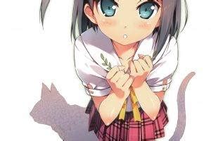 Hentai Ouji To Warawanai Neko