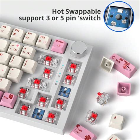 Surmen Mechanical Keyboard Percent American Qwerty Hot Swappable Keyboard Tkl Keys Gasket