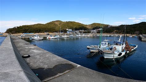 【淡路島エギングMAP】淡路島・伊毘漁港のエギング！アオリイカを求めて