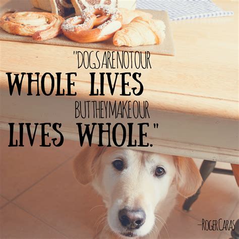 30 Best Heart Melting Dog Quotes With Beautiful Images Fallinpets