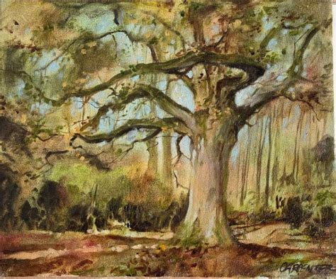 Steve Carpenter 1959 Arbre majestueux dans la forêt Catawiki