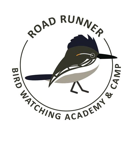 Greater Roadrunner - Bird Watching Academy