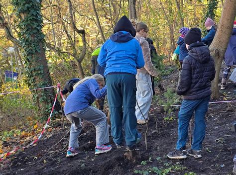 B Ume B Sche Und Str Ucher Riesenklein Sch Ler Pflanzen Miniwald