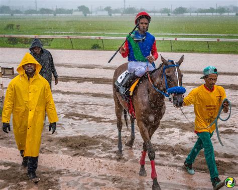 Exploring The History And Cultural Significance Of Competitive Horse Racing Events Held At The Iconic Caymanas Track 1
