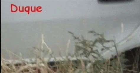 FU10 Voyeur The Galician Car Clips 07 Voyeurismo Public Sex 4