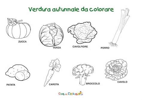 Verdure Autunnali Da Colorare Disegni Per Bambini Da Stampare