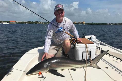 Largest Shark Ever Caught On Rod And Reel