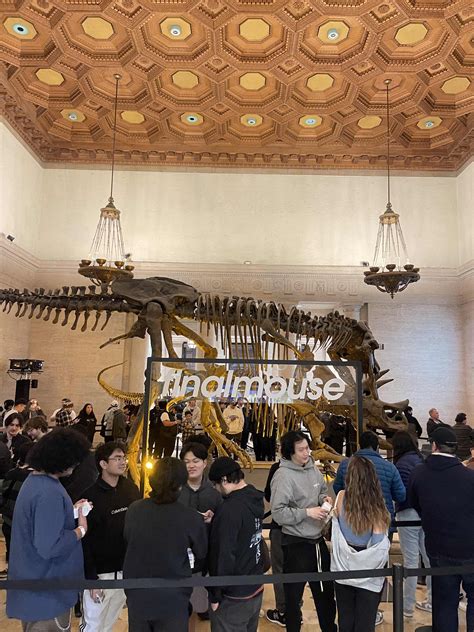 Finalmouse on Twitter: "10 more minutes until you see the greatest ...