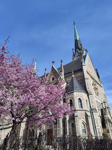 Stockholm Spring Weekend And Cherry Blossoms May 2023 R Travel