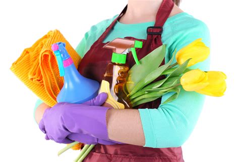 Пылесос с аквафильтром: какой фирмы лучше, цены, отзывы - HappyModern.RU