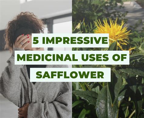 5 Impressive Medicinal Uses of Safflower