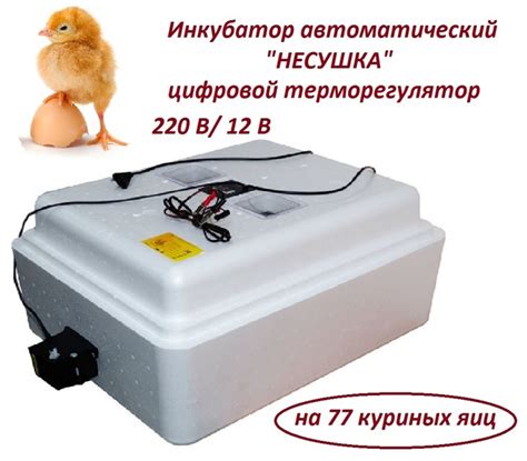 Инкубатор автоматический "Несушка" на 77 яиц, 220 В/12 В, цифровой ...