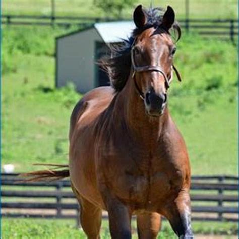 Is Popcorn Deelites still alive? - DIY Seattle