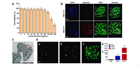 A Relative Viabilities Of 4t1 Cells Treated With Dzcp In The