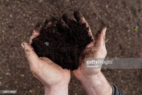 98 Topsoil Pile Stock Photos High Res Pictures And Images Getty Images