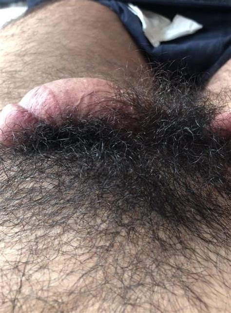 Big Thick Cock With Blond Pubes Shoots A Load Gay Porn Xhamster