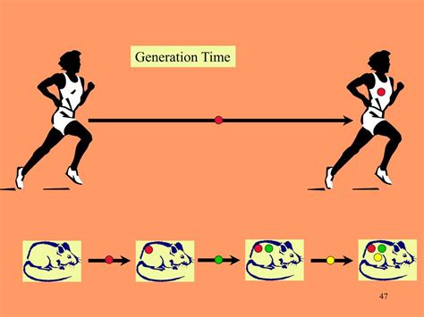 Ppt Molecular Clocks Powerpoint Presentation Free Download Id2883128