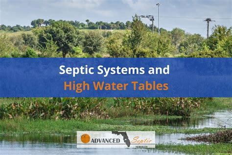 Best Plants For High Water Table At Bridget Powers Blog