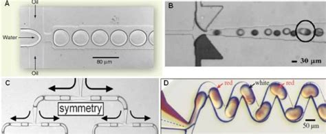 Multiphase Flow Droplet Microfluidics Platform A Droplet Formation