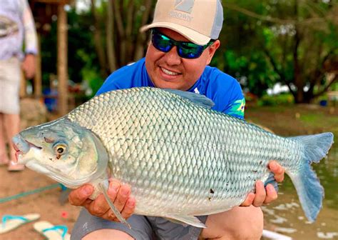 Varas De Pesca Conhe A Os Modelos A Es E Caracter Sticas