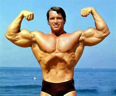 Double Biceps Arnold Schwarzenegger Pinterest