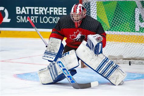 2024 NHL Draft: The top 15 goalies - Daily Faceoff