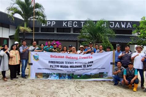 Dinas Ketapang Latih Petani Milenial Tanah Jawa Praktek Bertanam