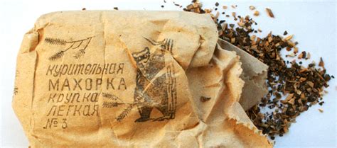 В чем состоит различие между махоркой и табаком. Отличия и схожести ...