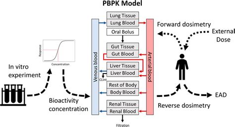 Frontiers Application Of An Accessible Interface For Pharmacokinetic