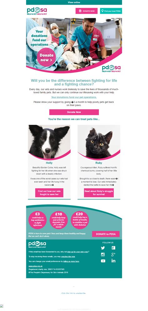 PDSA 28 04 16 London Photographer, Pet Photographer, Can You Be, Donate Now, Email Design, Non ...