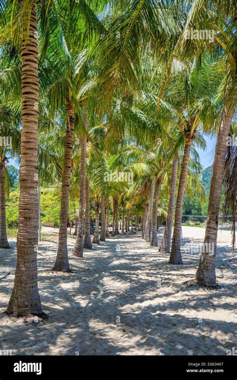 Ong Beach Cu Lao Cham Island Near Da Nang And Hoi An Vietnam Stock