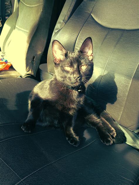 Best Hemingway Images On Pholder Quotes Porn Old School Cool And History Porn