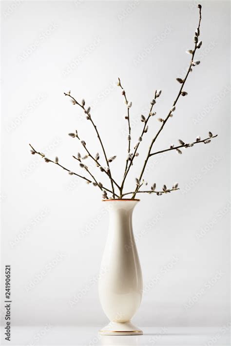 Pussy Willow In Vase