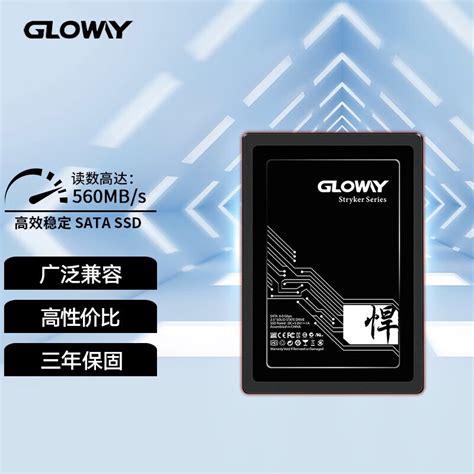 光威（gloway） Ssd固态硬盘 Sata30接口 悍将系列 畅快体验高速存储 480gb 京东商城【降价监控 价格走势 历史价格