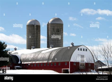 A Modern Dairy Barn With Two Silos Snow Covered Scene With A Beautiful