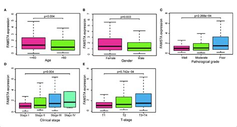 Association With Fam A Expression And Clinicopathologic