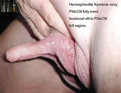 Hermaphrodite Huge Clit Picsninja