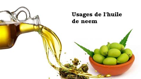 Utilisations De L Huile De Neem