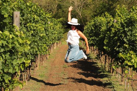 Viñedos en Nuevo León haz esta ruta del vino Escapadas por México