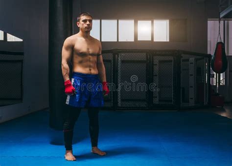 Kickbox Professional Fighter With Naked Muscular Torso Posing For A Camera Stock Photo Image