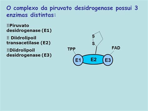 Sobre O Complexo Piruvato Desidrogenase Assinale A Resposta Correta