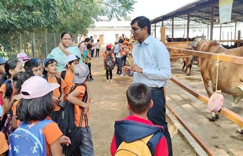 School Kids Learn Dairy Farming With Sids Farm Agriculture Post