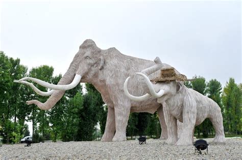 Mammuthus Изображения – скачать бесплатно на Freepik