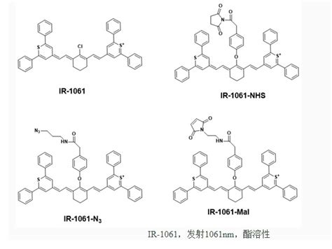 近红外二区荧光染料（ir 1080，ir 1061连接活性基团）化工仪器网