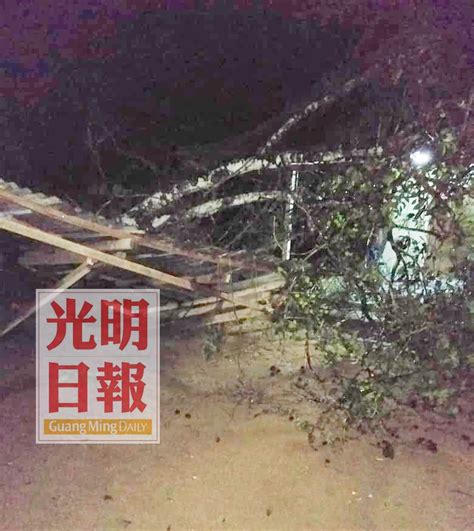 暴風雨襲錫甘榜 數戶遭掀頂大樹倒壓 北馬 地方 2020 04 13 光明日报