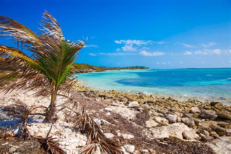 Cococay Cruiselines Private Island Cruise Port