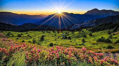 HD wallpaper: Sunrise, mountains, flowers, grass, dawn | Wallpaper Flare