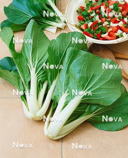 Brassica Rapa Subsp Chinensis