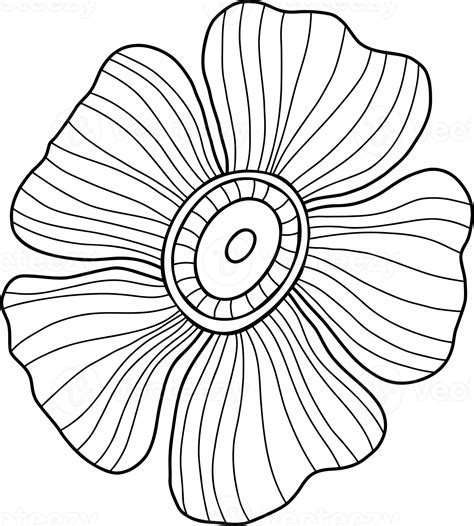 flower  drawing  png
