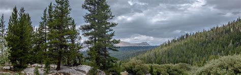 Download Wallpaper 3840x1200 Yosemite National Park, trees, clouds ...